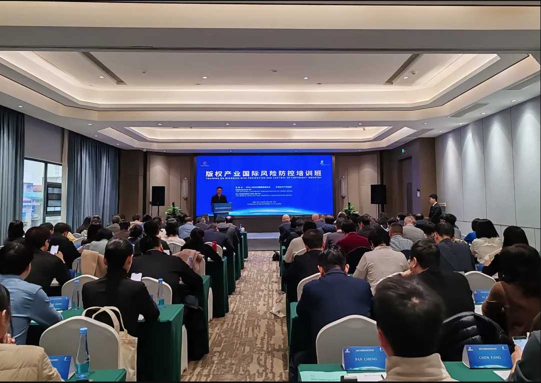 2024版權(quán)產(chǎn)業(yè)國際風(fēng)險防控培訓(xùn)班在長沙舉辦