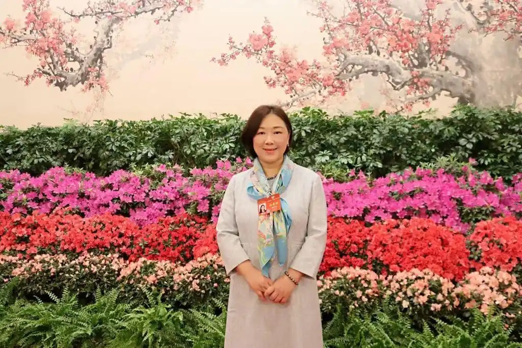 蔣勝男委員:設(shè)立中國網(wǎng)絡(luò)作協(xié) 壯大網(wǎng)文產(chǎn)業(yè)