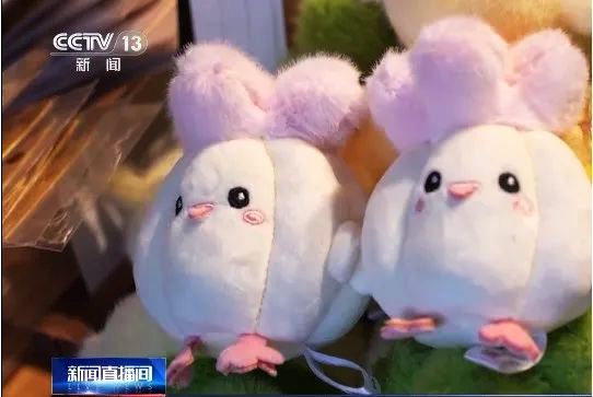 全國媒體關(guān)注:武漢