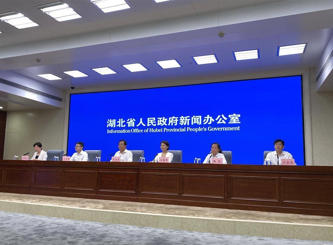 今年底湖北數(shù)據(jù)匯聚總量力爭(zhēng)突破1000億條