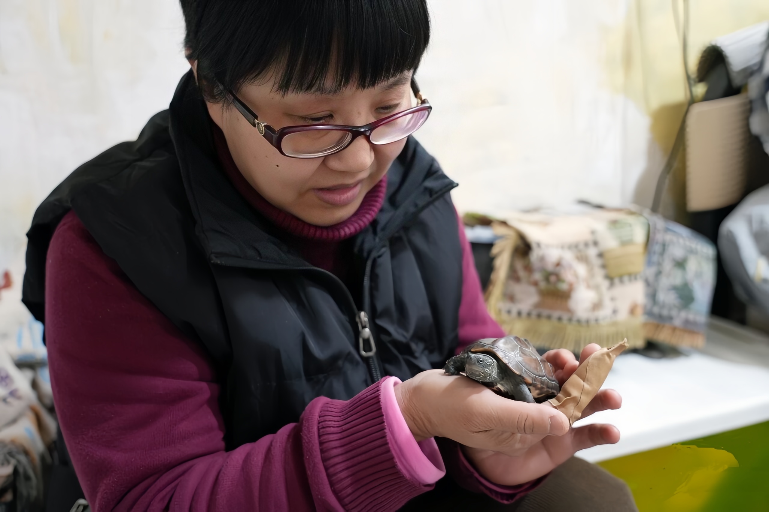 輪椅上的“高產(chǎn)音樂人”：700首歌寫給生活與街巷